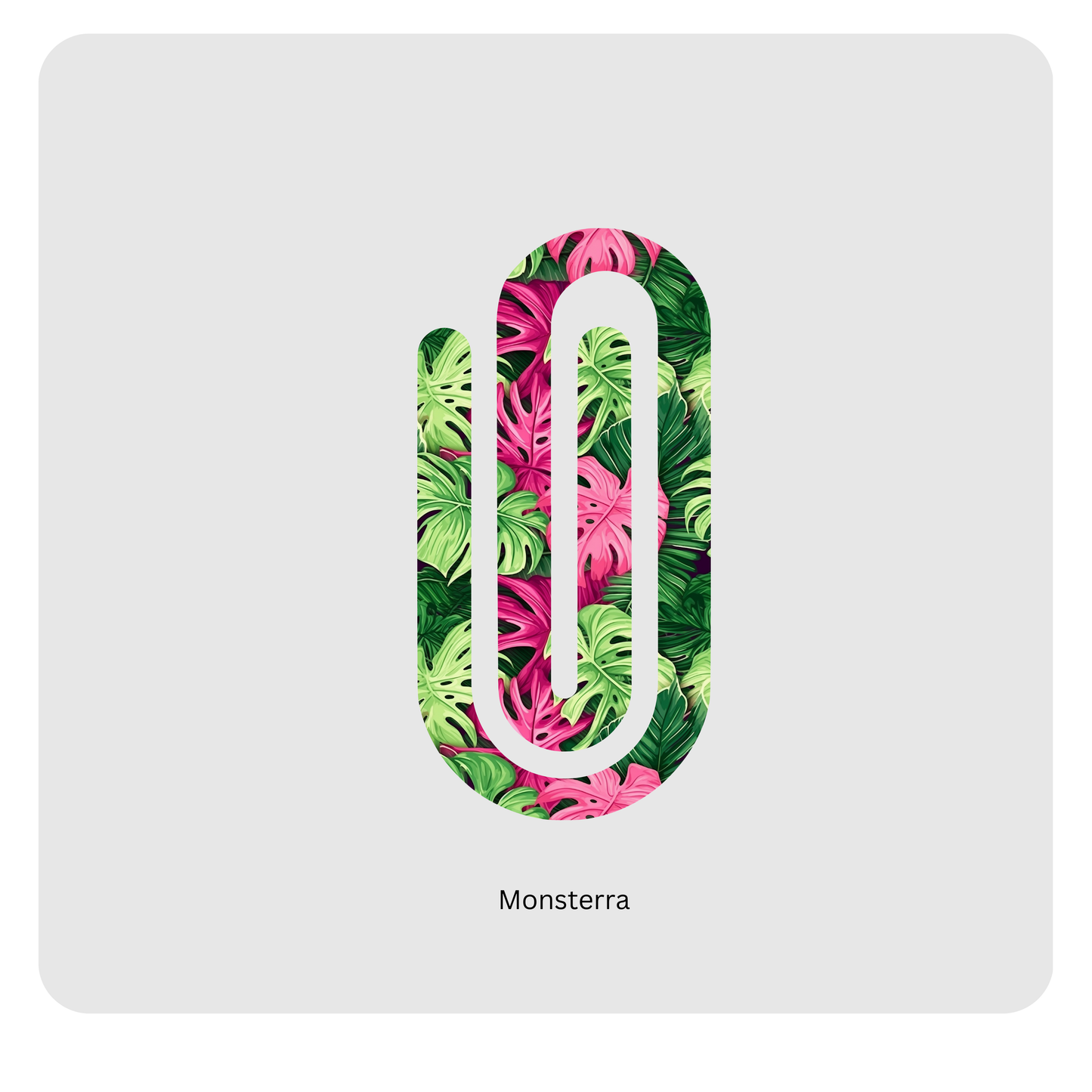 Monsterra paperclip