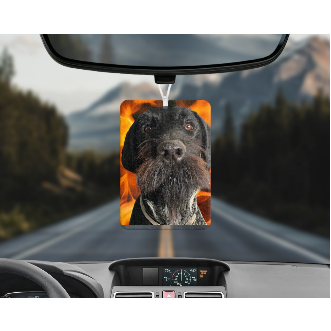 Air Fresheners - Customize It